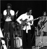 Walter Horton y Eddie Taylor en Kalmar, 1976.
