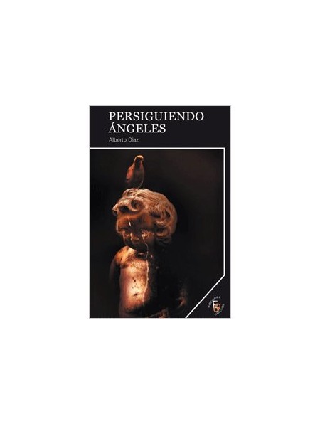 Persiguiendo ángeles
