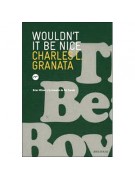 Wouldn't It Be Nice Wouldn't It Be Nice