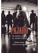 Pájaro Pájaro