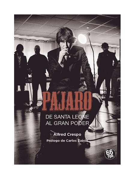 Pájaro