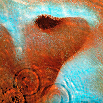 MEDDLE (Pink Floyd,1971)
