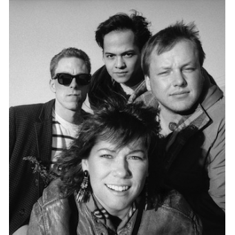 WILD HONEY PIE (Pixies, 1988)