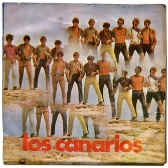 LAS PRIMERAS MARAVILLAS DE LOS CANARIOS
